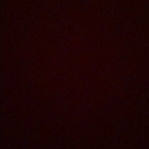 Meet your Posher, Brandi